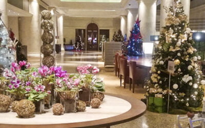 Izbor najlepše novogodišnje jelke u hotelu Hyatt Regency Beograd
