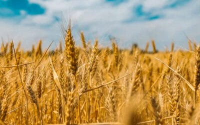 Oslonac: Kad život stane, a neko ti vrati snagu