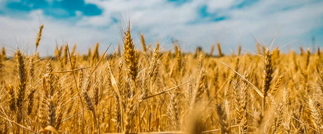 Support: When life stops, and someone restores your strength